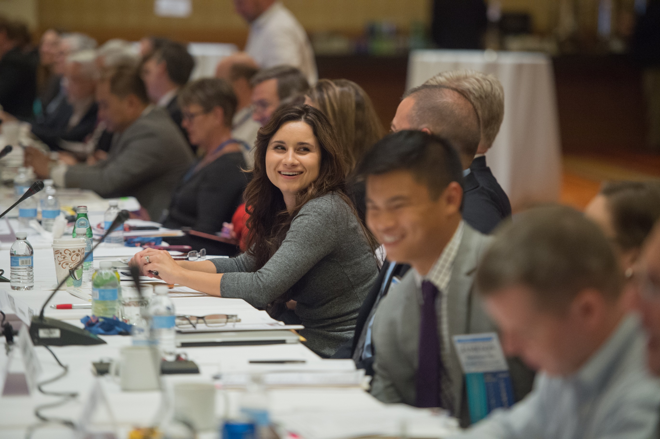 Target/Substantive Committee (TSC) Liaisons Target/Substantive Committee (TSC) Liaisons