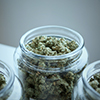 add-weed-Bu6BSErSL_M-unsplash-1