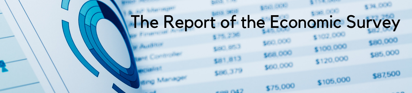 Economicsurveywebbanner