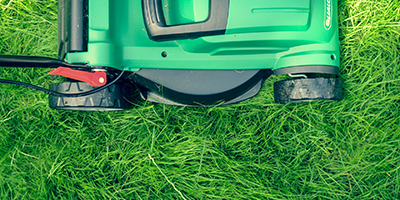 Lawn web