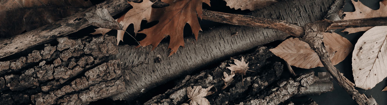 Issue Banner 3 placeholder-issue-banner-3