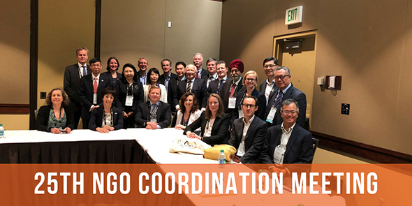 NGO-Coordination-Meeting-590.jpg